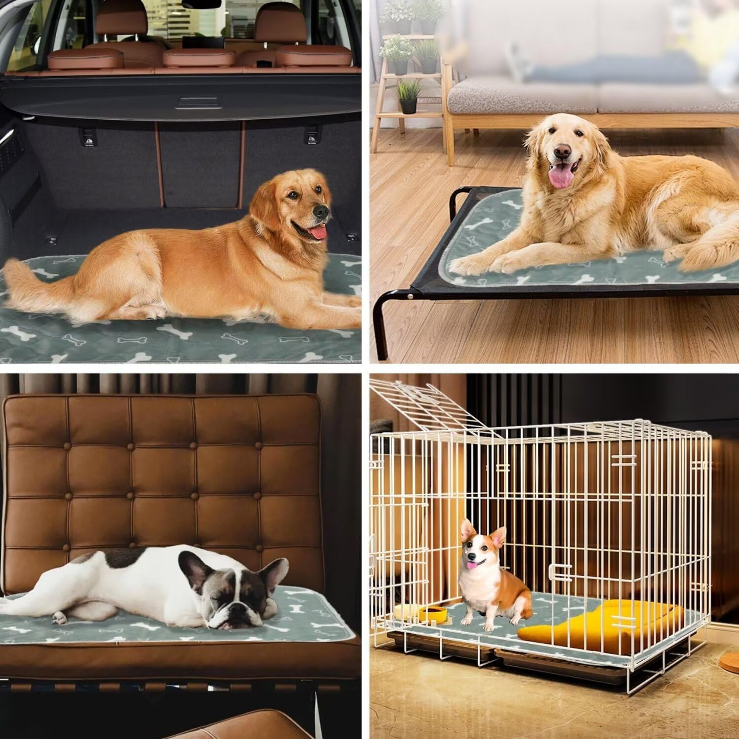 Pup Pad