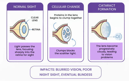 PetNano Eye Drops