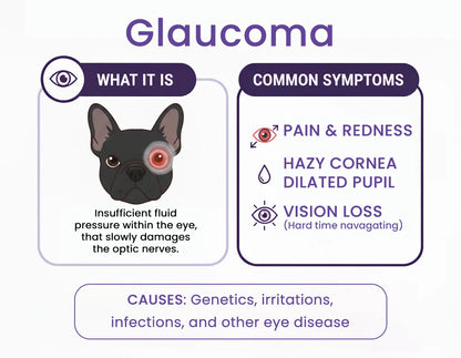 PetNano Eye Drops