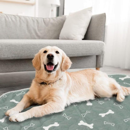 Pup Pad