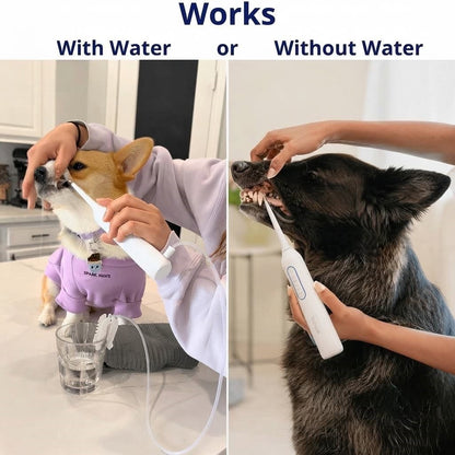 Dog Teeth Cleaner Kit