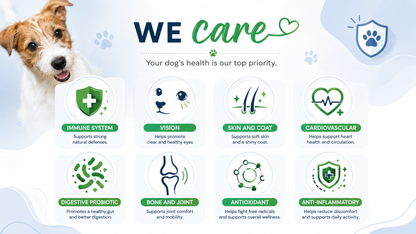 Pet Eye Drops for Dog & Cats Lanosterol Solution