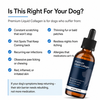 Premium Liquid Collagen for Dogs