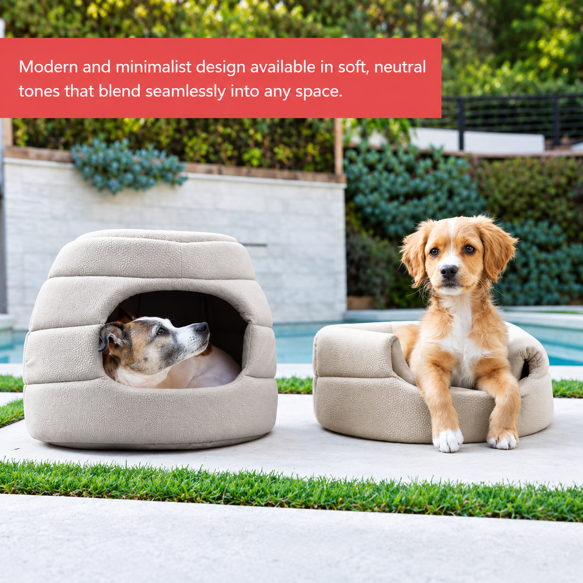 2-in-1 Honeycomb Convertible Cat & Dog Bed