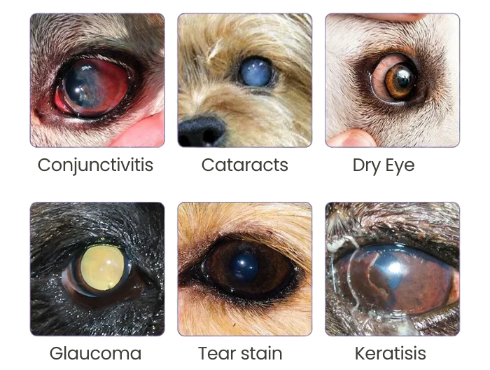 PetNano Eye Drops