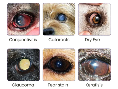 PetNano Eye Drops