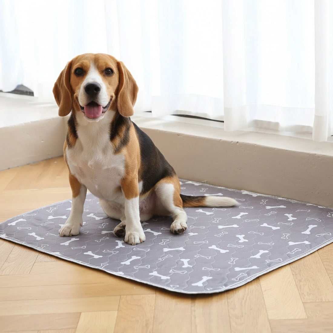 Pup Pad
