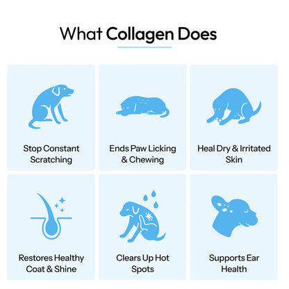 Premium Liquid Collagen for Dogs