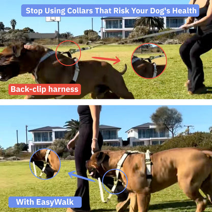 No-Pull Dog Harness