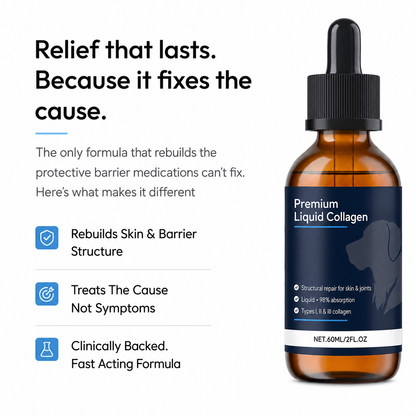 Premium Liquid Collagen for Dogs