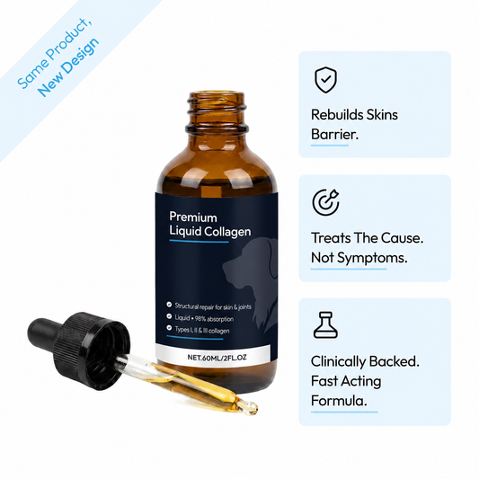 Premium Liquid Collagen for Dogs